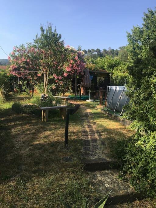 Le Rose , Relax In Casolare Del 1700 Appartement Sarzana Buitenkant foto